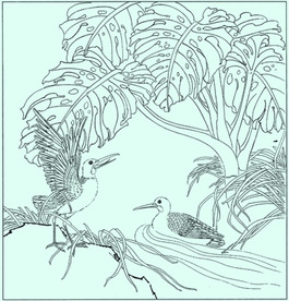 龟背竹水禽线描 龟背竹水禽白描