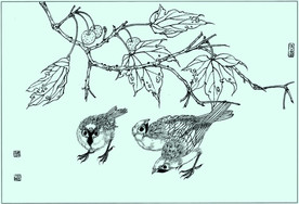 麻雀线描 麻雀白描 麻雀素描