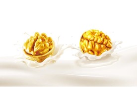 黄金核桃分层图