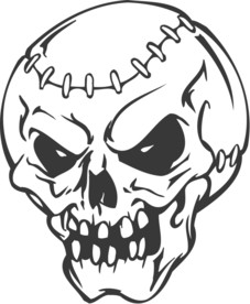 这是个什么球 是球人