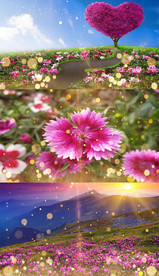 歌曲《绒花》韩红演唱-歌曲配乐