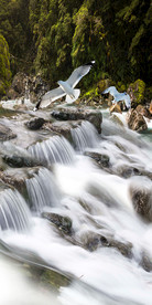 流水生财瀑布山水玄关装饰画