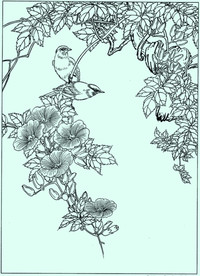 花鸟线描 花鸟白描 花鸟素描