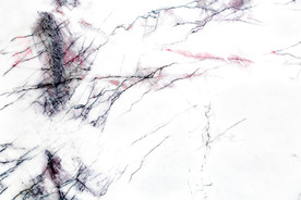 香雪梅 大理石纹理贴图素材