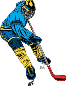 冰上曲棍球比赛