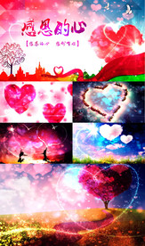 感恩的心配乐成品