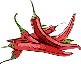 红辣椒 矢量手绘素材