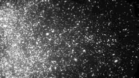 粒子特效背景素材