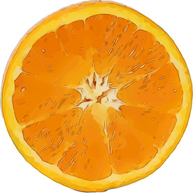 橙 矢量手绘素材