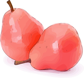 红啤梨 矢量手绘素材