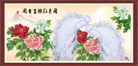孔雀牡丹图