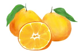 手绘桔子