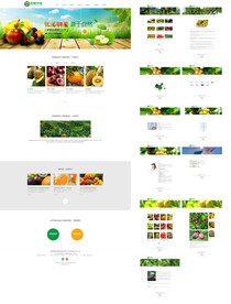 水果销售公司整站模版