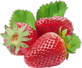 草莓 矢量手绘素材