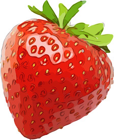 草莓 矢量手绘素材