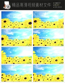 向日葵视频舞台素材