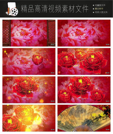 唯美浪漫迷幻欧式紫色花朵视频