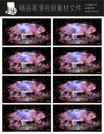 唯美浪漫迷幻欧式紫色花朵视频