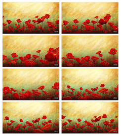 唯美梦幻朦胧光点光晕转场空镜头