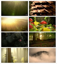 新农村农业建设视频素材