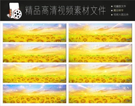 向日葵视频大屏幕视频背景