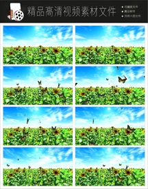 向日葵视频大屏幕视频背景