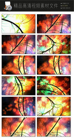 唯美梦幻朦胧光点光晕转场空镜头