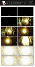 唯美动态暖场视频LED视频