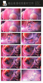 超炫轿车汽车广告片汽车转场视频