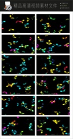 高清渐变云雾商务视频转场空镜头
