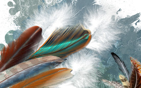 北欧时尚羽毛背景墙装饰画