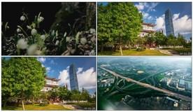 春天的故事 LED背景视频成品