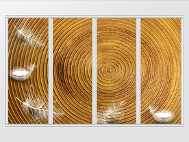 现代豪华大气金色背景羽毛移门