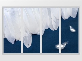 现代大气白色羽毛移门