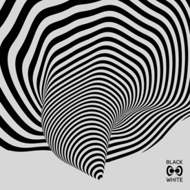 创意旋转空间斑马纹扭曲空间