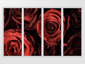 现代简约唯美玫瑰花卉移门