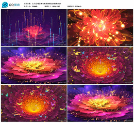 女人花 舞台LED大屏背景视频