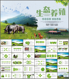 生态养猪PPT