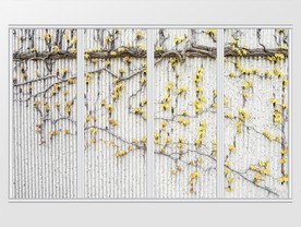 立体时尚花卉移门