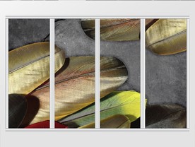 现代简约彩色羽毛移门