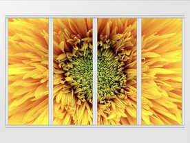 现代简约唯美向日葵移门