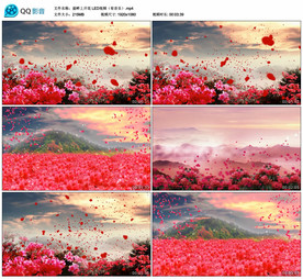 崖畔上开花 舞台大屏幕背景视频