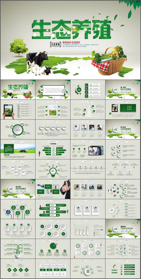 生态养猪养殖奶牛PPT
