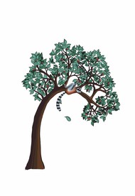 手绘趴在树上的浣熊