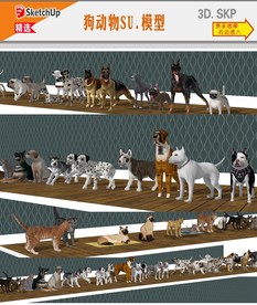 宠物狗模型