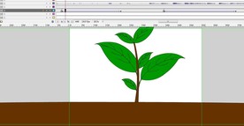 种子长成大树的动画30秒