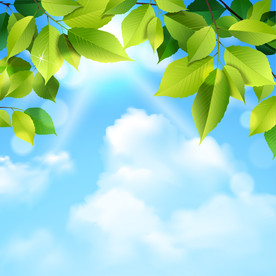 矢量绿叶天空背景图
