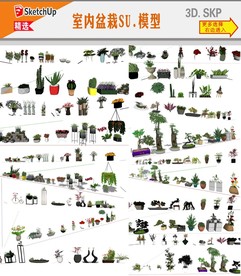盘栽植物SU模型