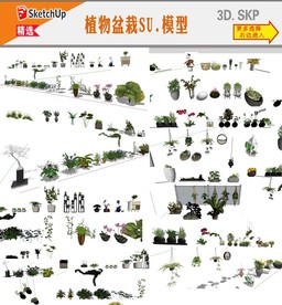 植物绿化模型