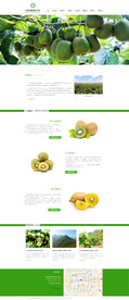 绿色中文网页模板